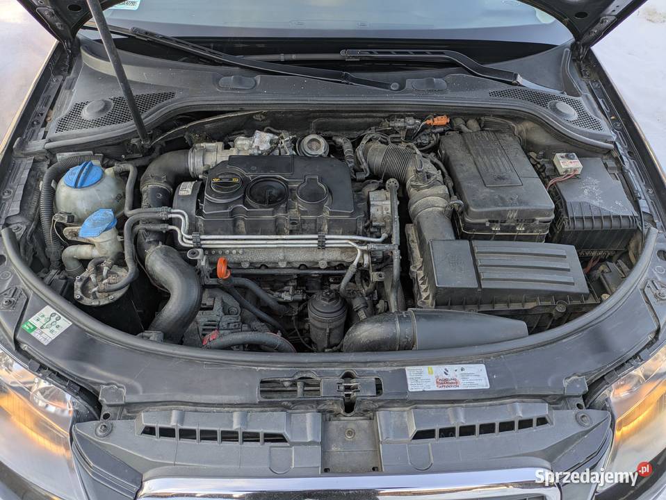 Audi A3 8P Posada Jaćmierska