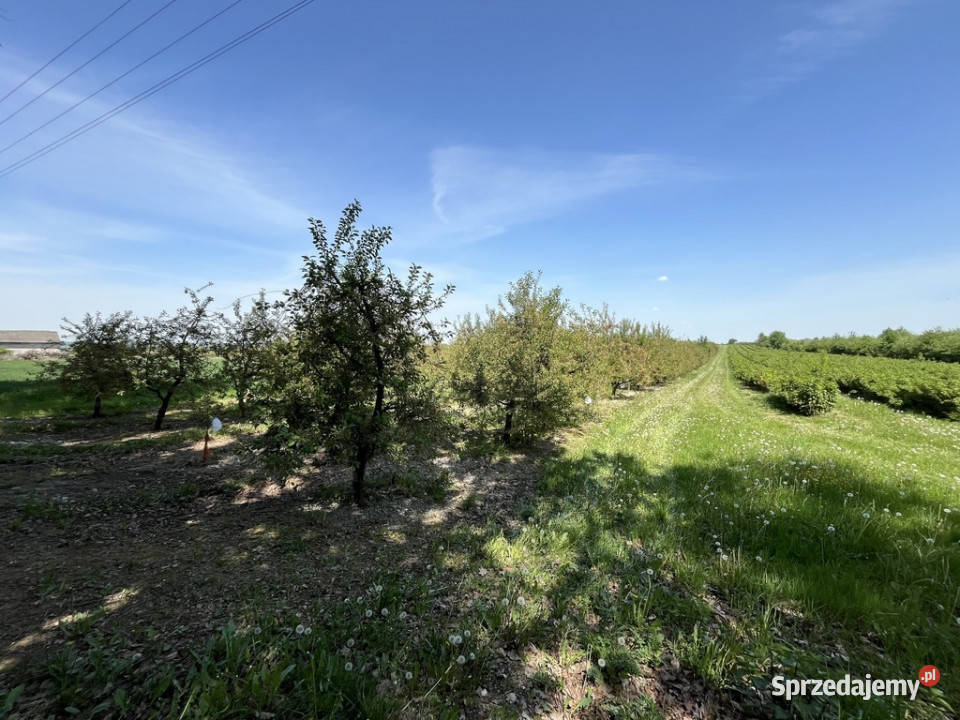 Działka rolnobudowlana w Kamieniu Kolonii lubelskie Kamień-Kolonia