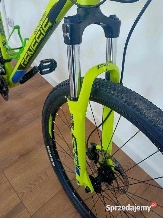 Rower górski Genesis Impact 29 Nowy Żmigród
