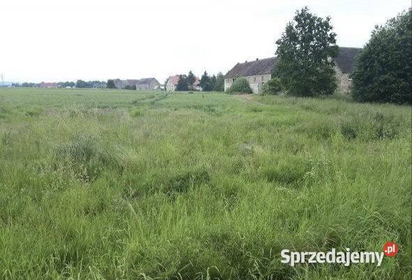 Działka budowlana Chmielno