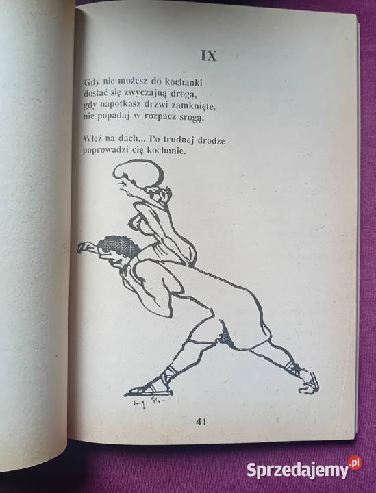 Owidiusz Sztuka kochania Wyd Zamek 1989 r wielkopolskie Koźminek