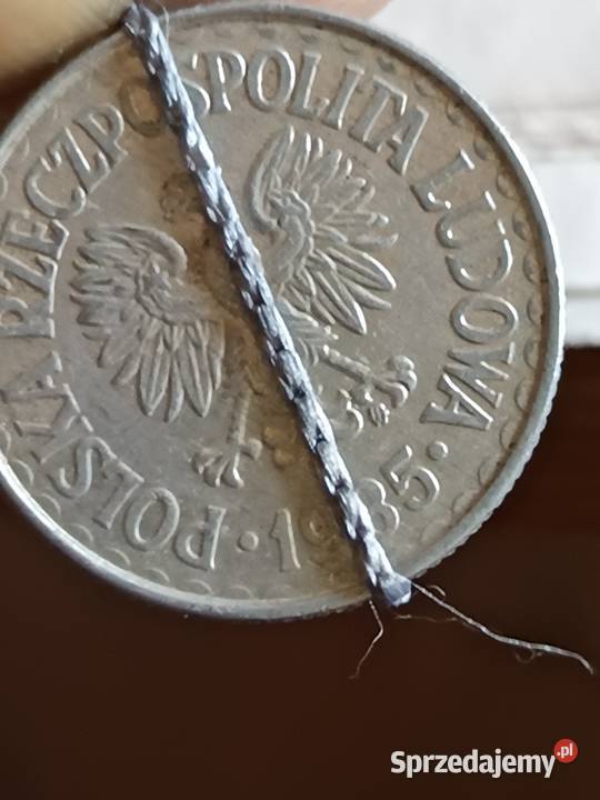 Sprzedam monete 1 zloty 1985 mala skretka Chełm sprzedam