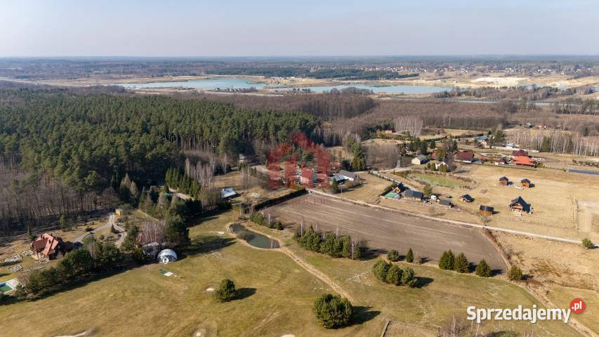 sprzedaży działki Krzywa 3100m2 budowlana Sprzedaż