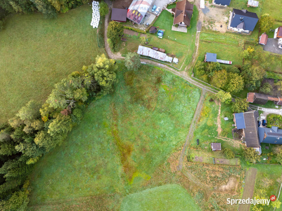 Działka Rekreacyjna Rokiciny Rokiciny Podhalańskie