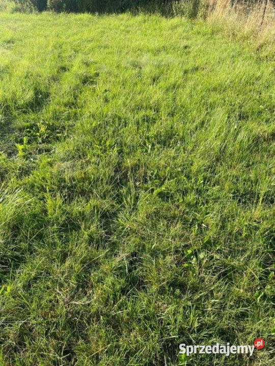 sprzedaży działki Karwia 300m