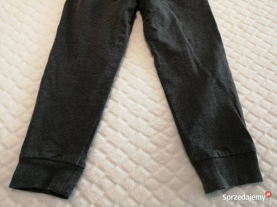 Spodnie dresowe szare 110 Little kids Odzież śląskie Czeladź