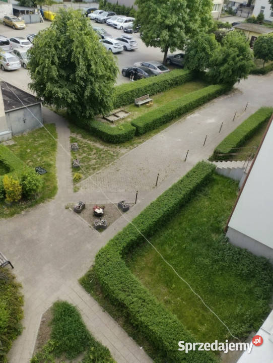 Okazja cenowa Dwa pokoje Centrum Wrzeszcza z pomorskie Gdańsk
