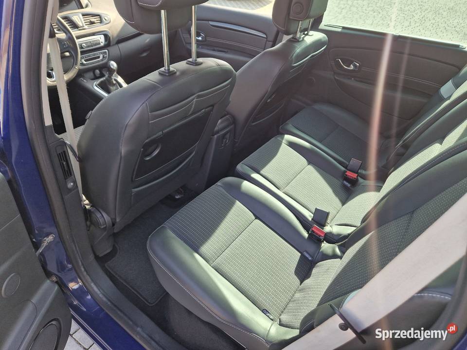 Renault Scenic Ogrodzieniec