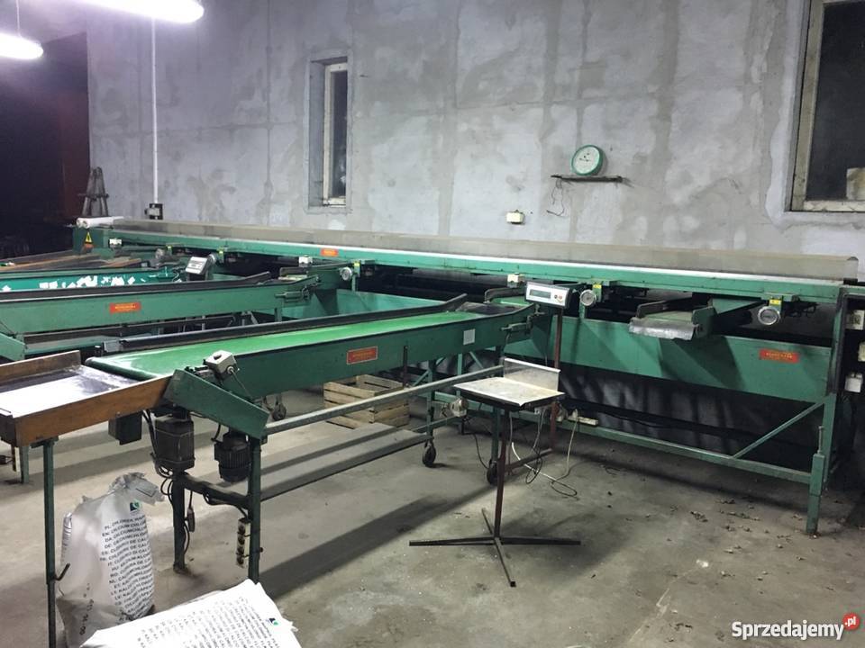 Sortownica do jabłek gruszek