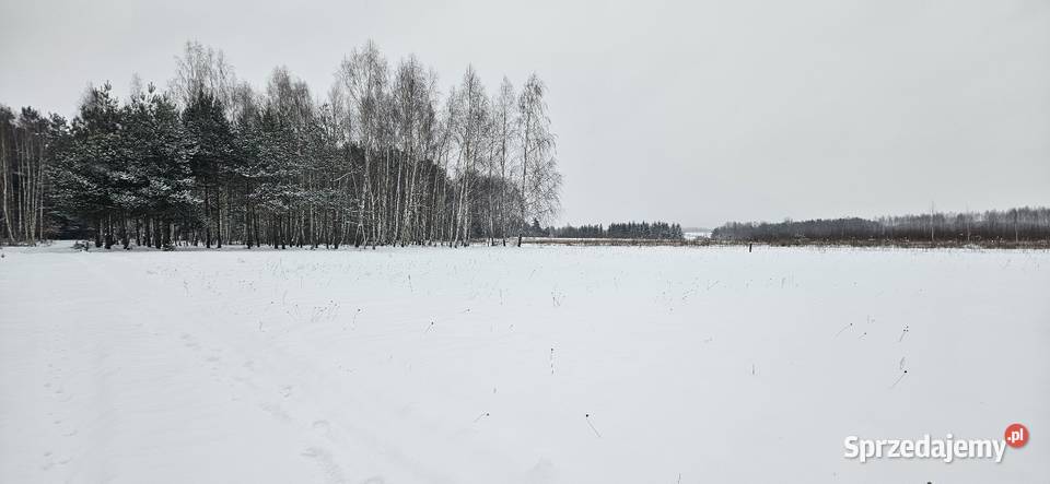 Działka bud Bobrowniki 1076M2 1200M2 WZ dookoła Sprzedaż sprzedam