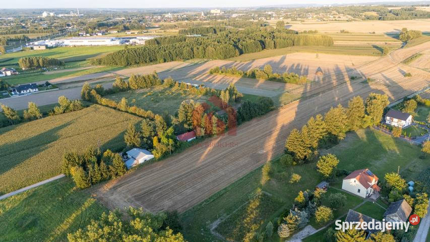 Działka 1000m Brzezówka