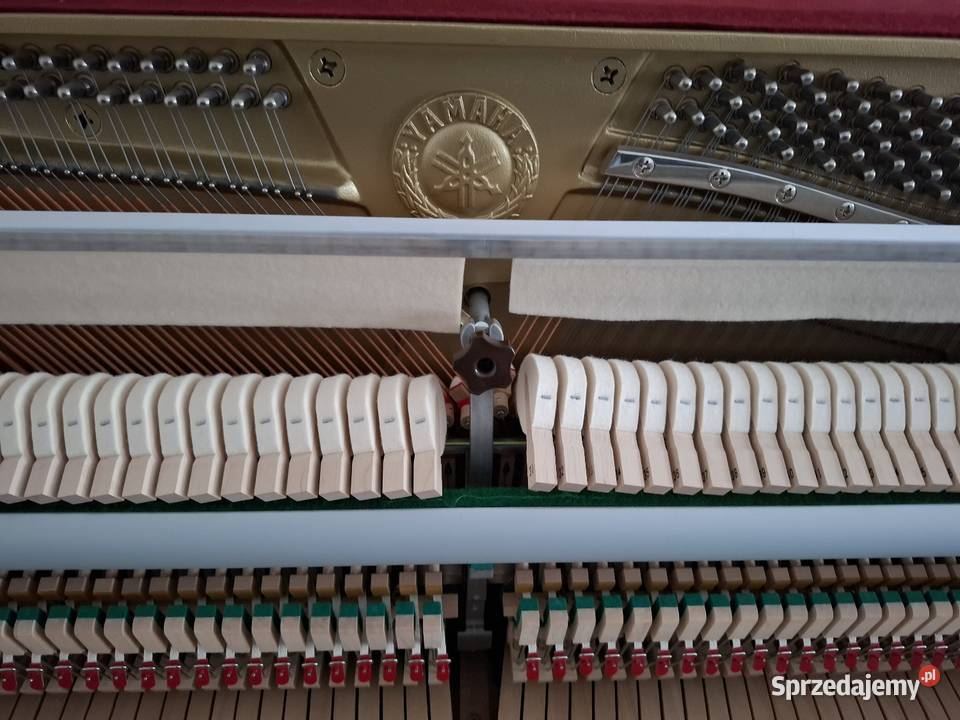 Pianino Yamaha B1 PWH stan fabryczny Gwarancja Instrumenty klawiszowe i MIDI Brzesko