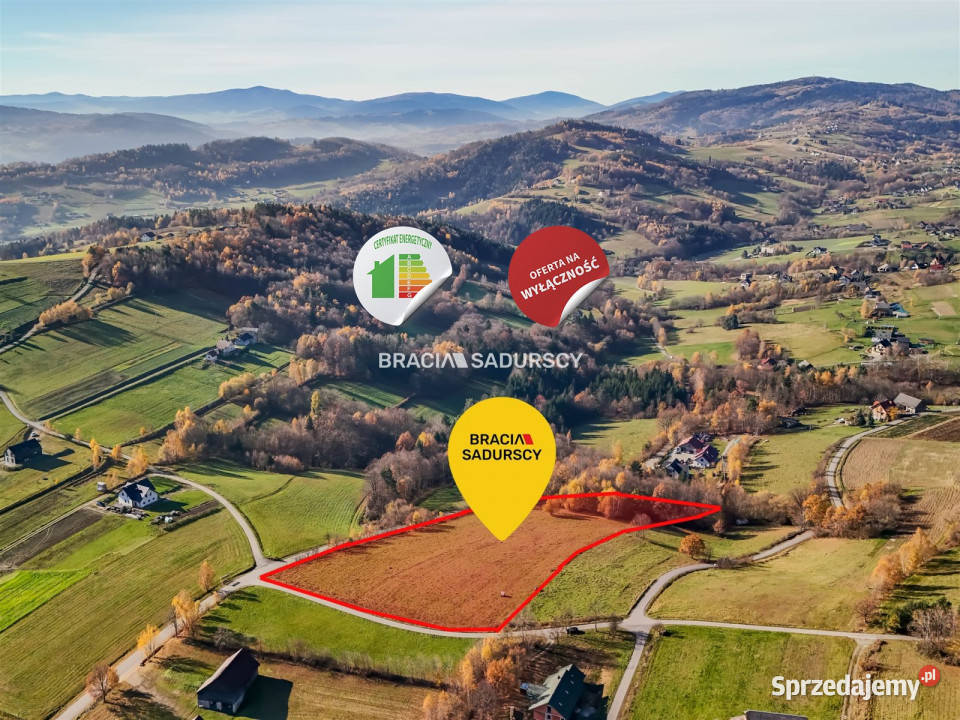 Grunt Kamionka Mała 130000m2 asfalt małopolskie sprzedam