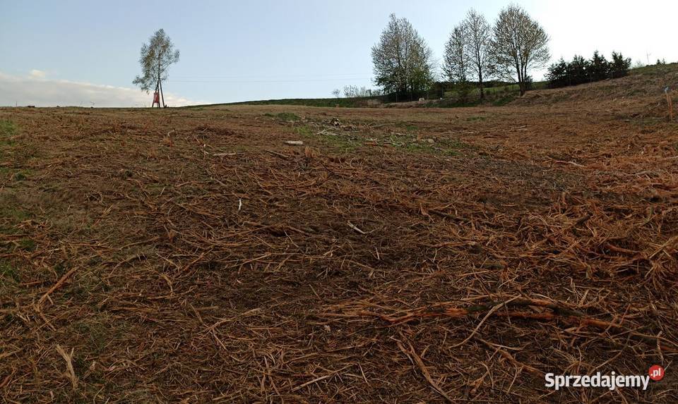 Działka rolnobudowlana 5600m2 Leśna MEDIA Tuchów 90m