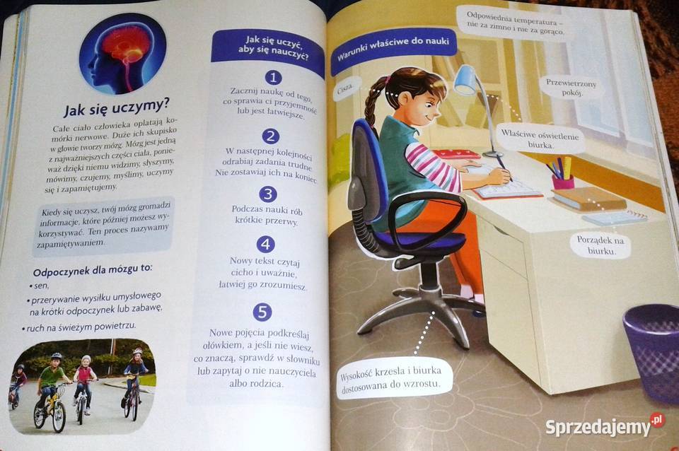 Tropiciele Podręcznik Klasa 3 Część 1 Chełm