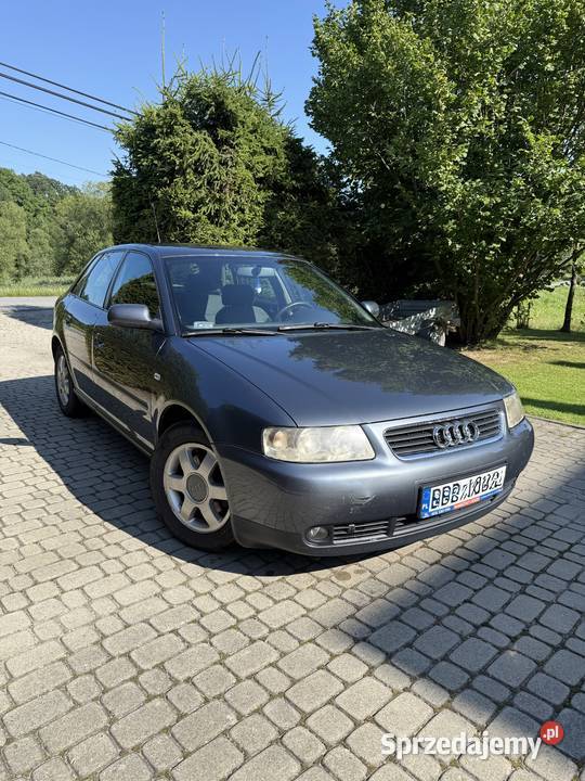 Audi A3 8L 19 TDI 2001r Orzechówka sprzedam