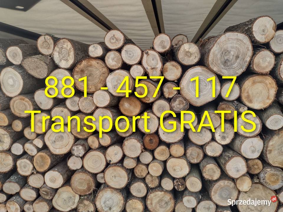 Drewno opałowe tniemy na dowolny wymiar Bystrzyca Kłodzka sprzedam