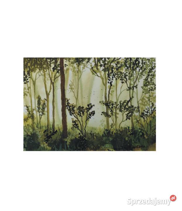 Akwarela Akwarelka Obraz pt Pomiędzy drzewami Świnoujście sprzedam