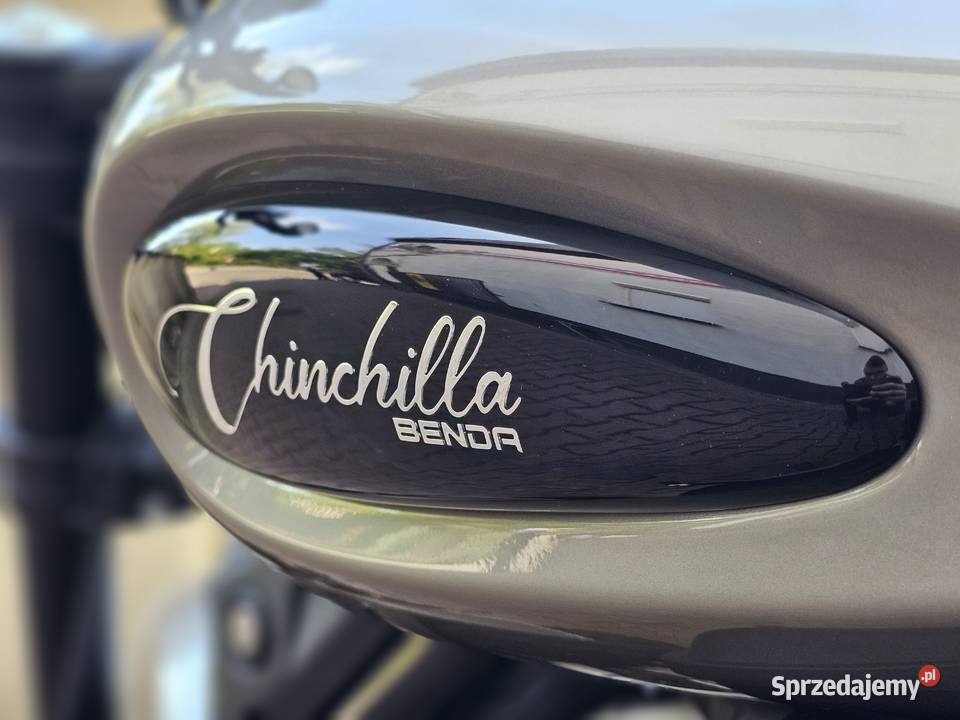 Benda Chinchilla 500 Kobyłka