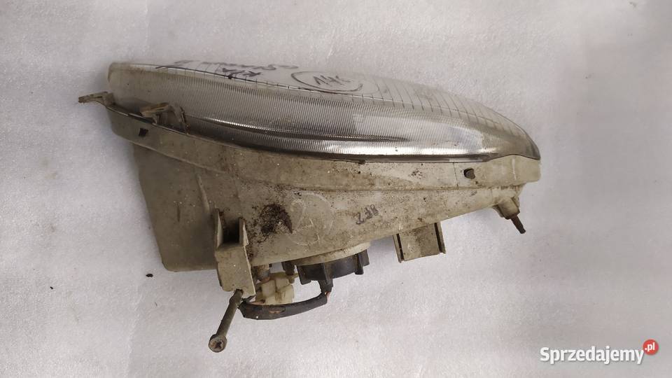 Kia Clarks II HALOGEN LEWY