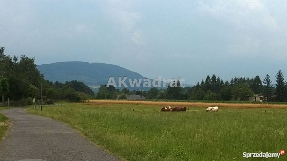 grunt 1004m2 Bładnice Górne śląskie Bładnice Górne