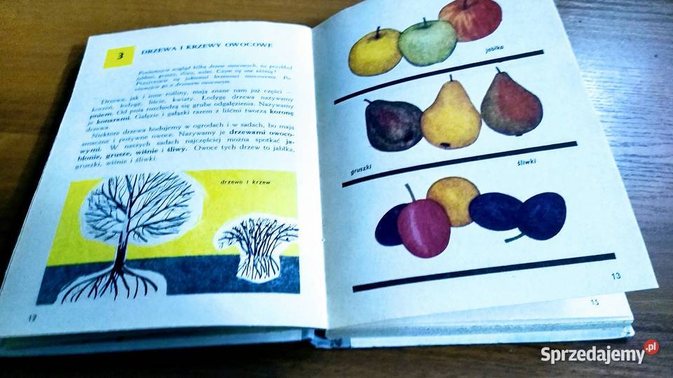 Świat wokół nas wiadomości o przyrodzie klasy Gdańsk