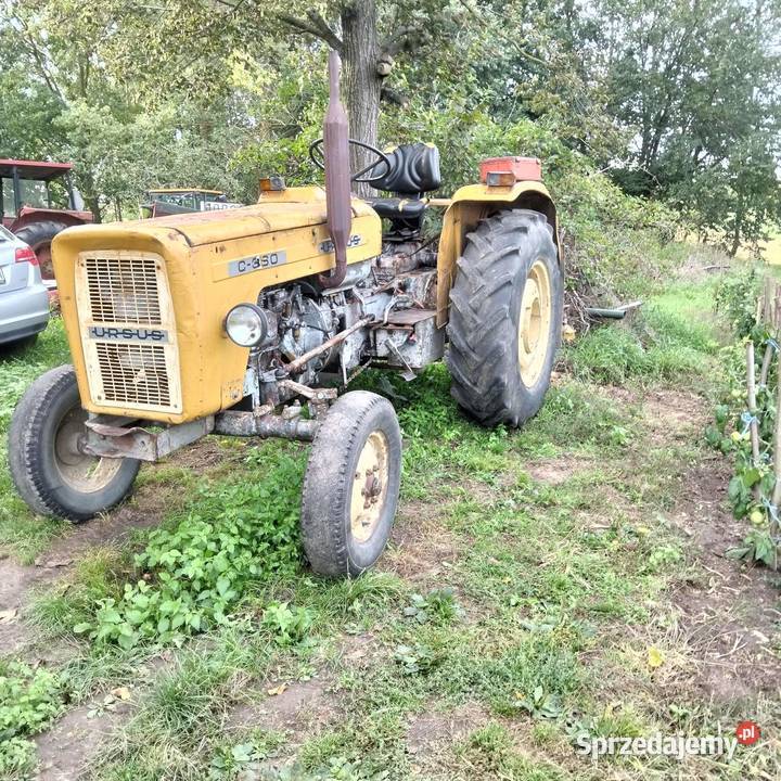 Sprzedam ciągnik rolniczy Ursus C 360355 Siedlce