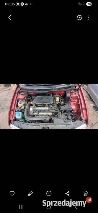 Golf 4 14 16v bezyna w stanie 100KM Drzecin
