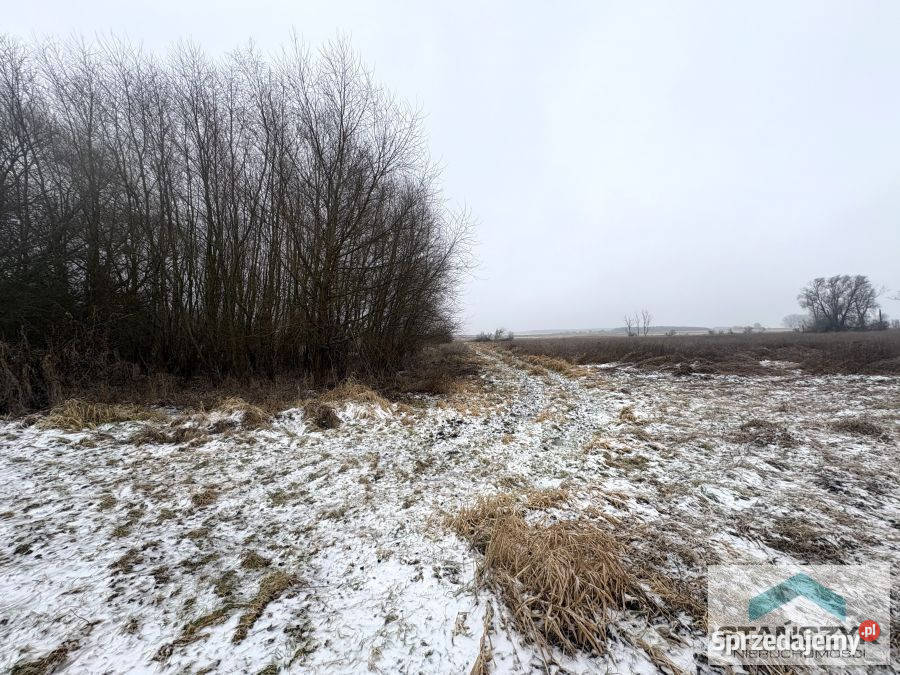 Działka 7700m2 Wolin sprzedam