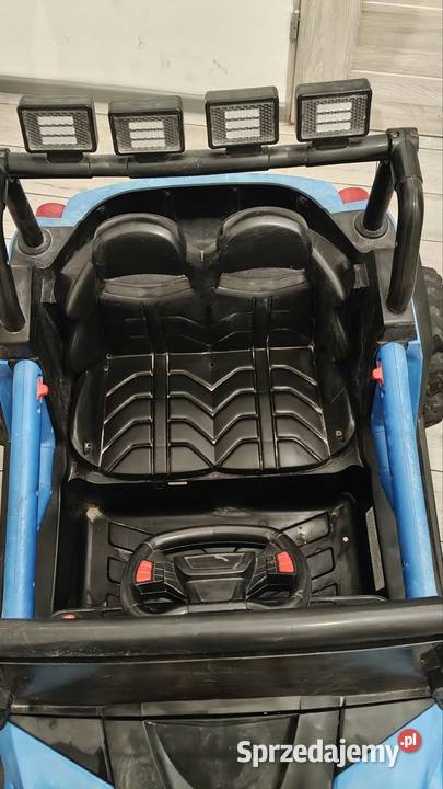 Buggy 4x4 Pozostałe Wyśmierzyce