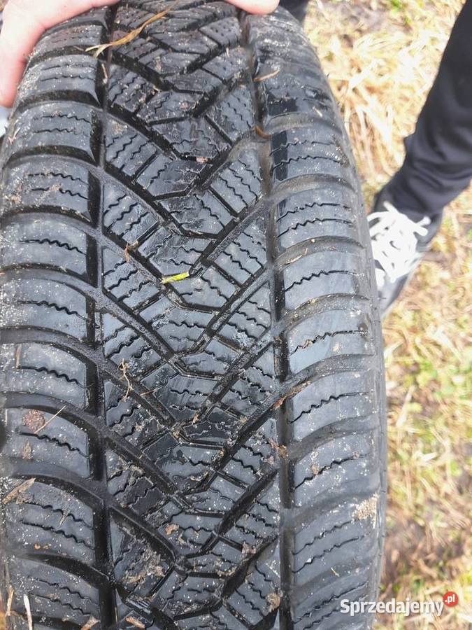 enzo cup 13 cult 126pcorsaunotrabi Gorzów Wielkopolski