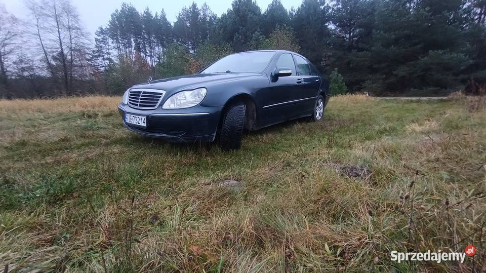 S320 32 CDI 204 konie myślę że stan świętokrzyskie Małogoszcz sprzedam