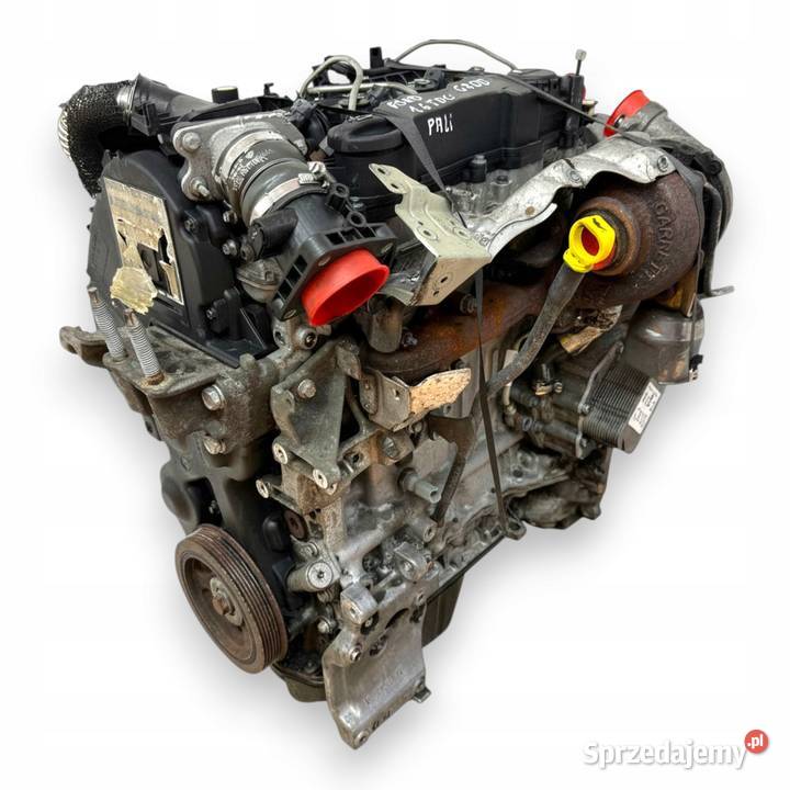 SILNIK KOMPLETNY G8DD Ford Focus II MK2 C C 16 Chełm