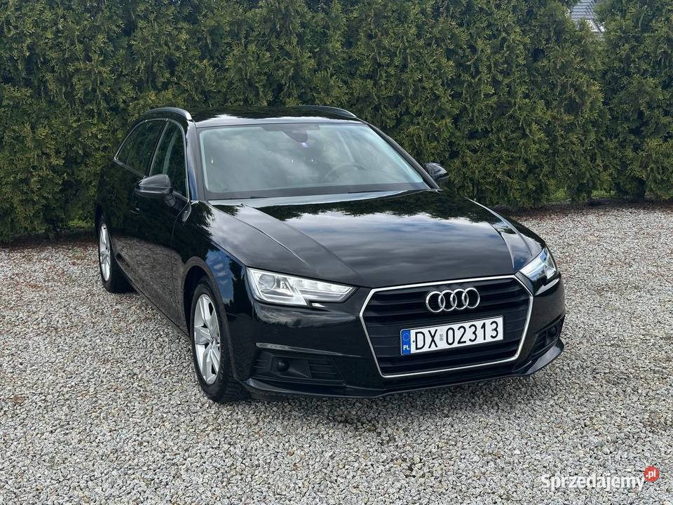 Audi A4 Audi A4 B9 20 TDI Bezwypadkowa serwisie dolnośląskie Wrocław sprzedam