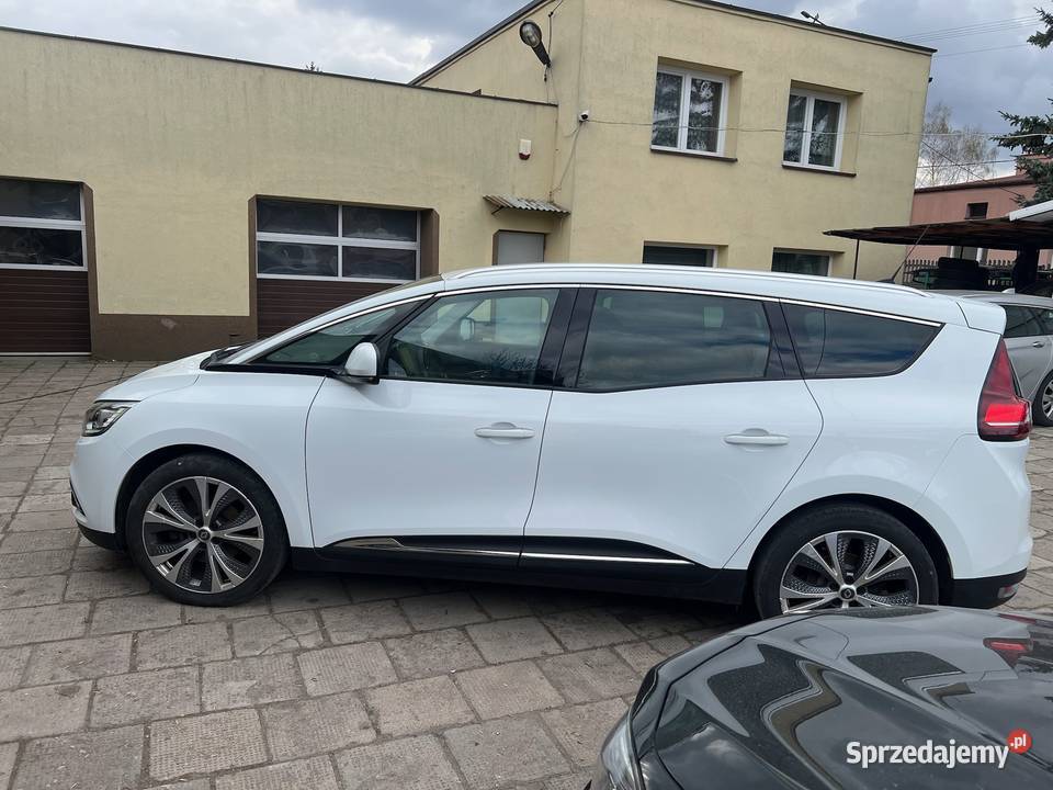 Renault Grand Scenic 4 Bogata Łódź