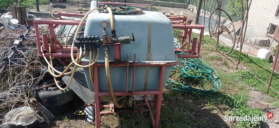 Wały posiewne Cambridge i nie opis łódzkie Plecka Dąbrowa