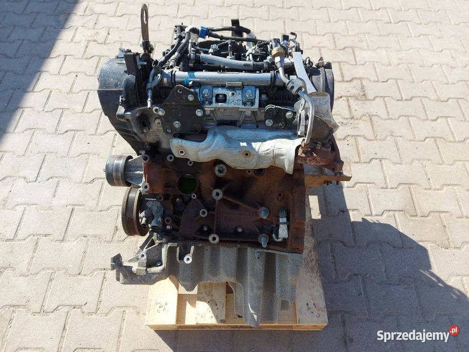Ford Ranger VI 6 2024r SILNIK Kompletny egine 30 sprzedam