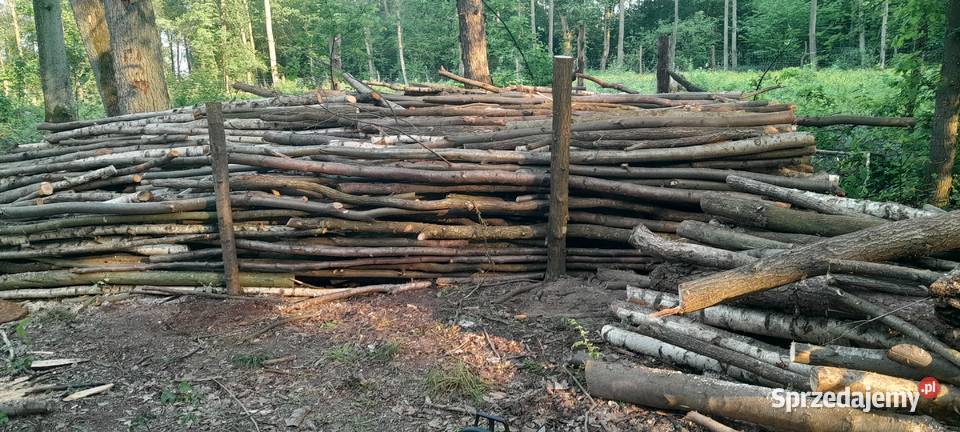 Drewno opałowe kominkowe Rojewo