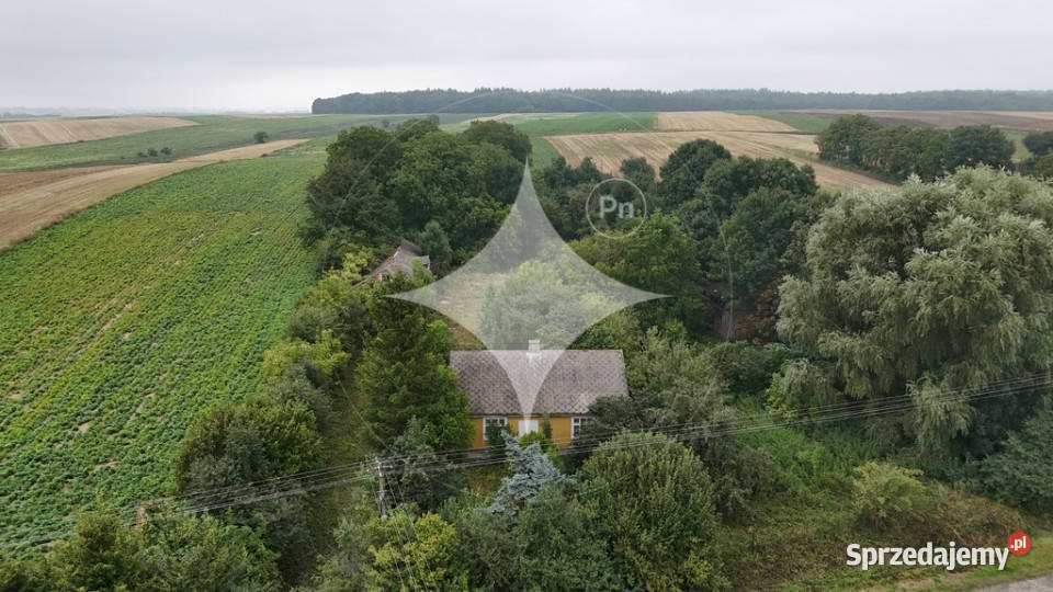 Gospodarstwo rolne dom pole i sad 088 ha Sprzedaż