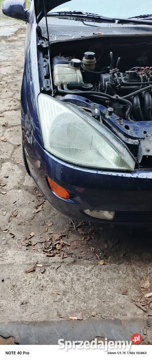 Ford Fokus kujawsko-pomorskie Radziejów