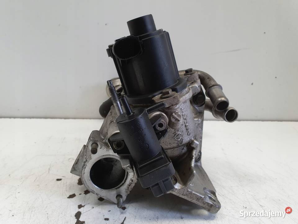 Renault Scenic III 15 DCI CHŁODNICA SPALIN egr Silniki i osprzęt lubelskie Rudka