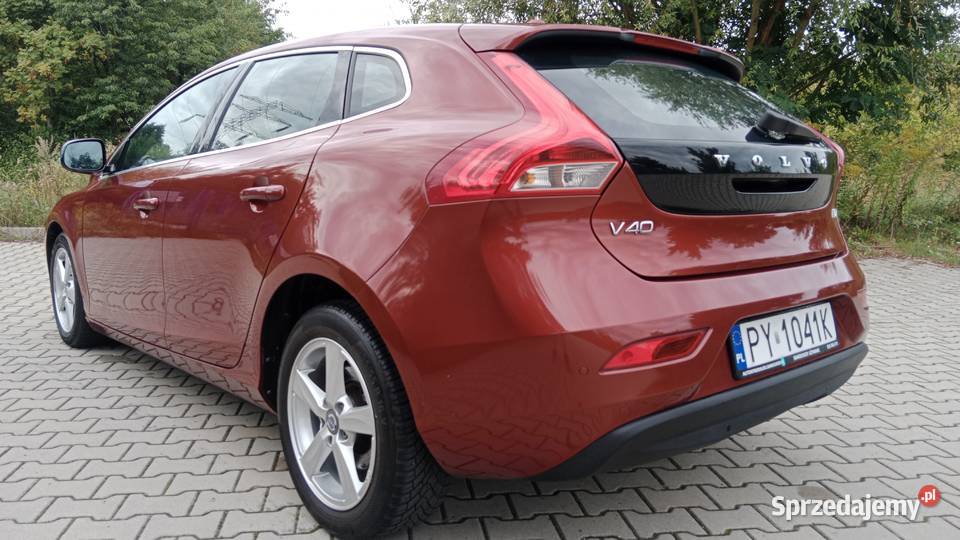 Carpass Navi Zarejestrowany Poznań