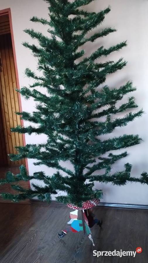 Choinkaq z Mikołajami zachodniopomorskie Szczecin