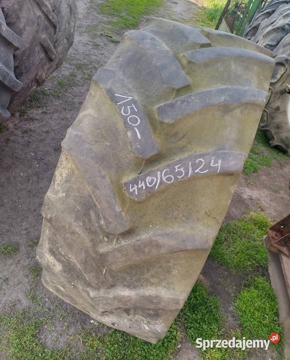 Opony 4208524 Radial 16924 Pirelli 4406524 kujawsko-pomorskie Wola Bachorna