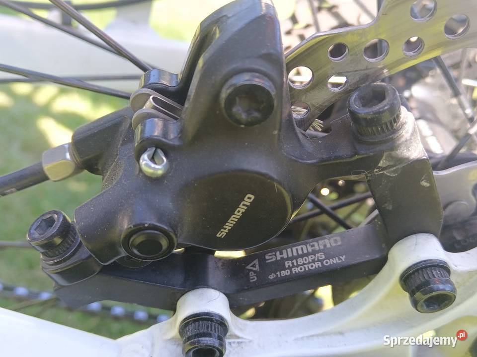 Rower elektryczny Ecobike LX300 Plewiska
