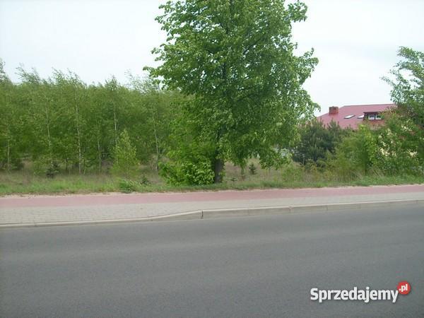 DZIAŁKA BUDOWLROLDUŻA ZADRZEWIONA 11200m
