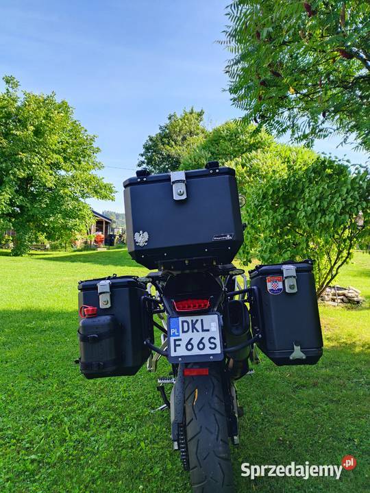 Triumph Tiger Rally Pro 900 Stronie Śląskie