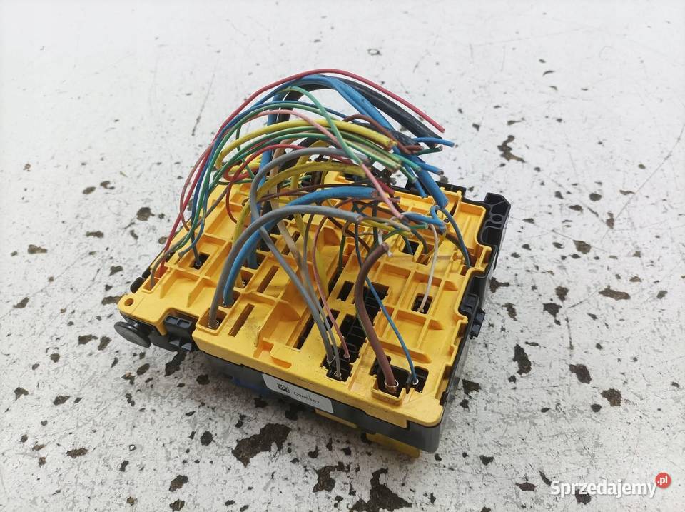 SKRZYNKA BEZPIECZNIKÓW 9808959080 20 D 122 świętokrzyskie