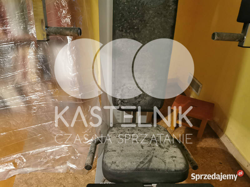 Odgrzybianie ścian Piła Kastelnik Usuwanie