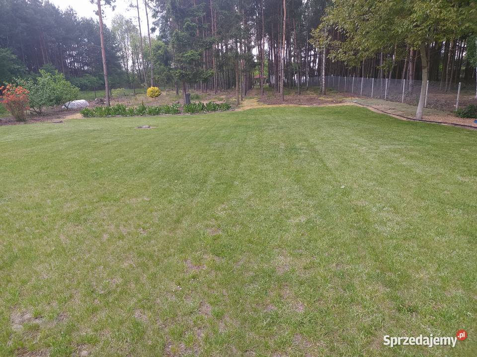 Działka rekreacyjna budowlana łódzkie Radomsko sprzedam